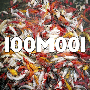 100m017