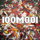 100m017